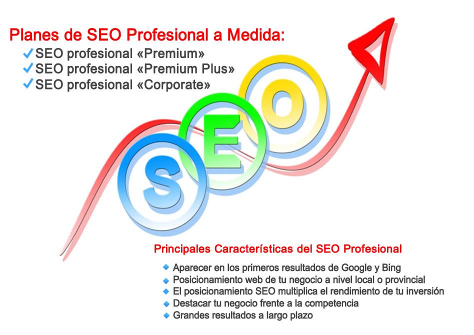 Seo profesional a medida con Hosteldia